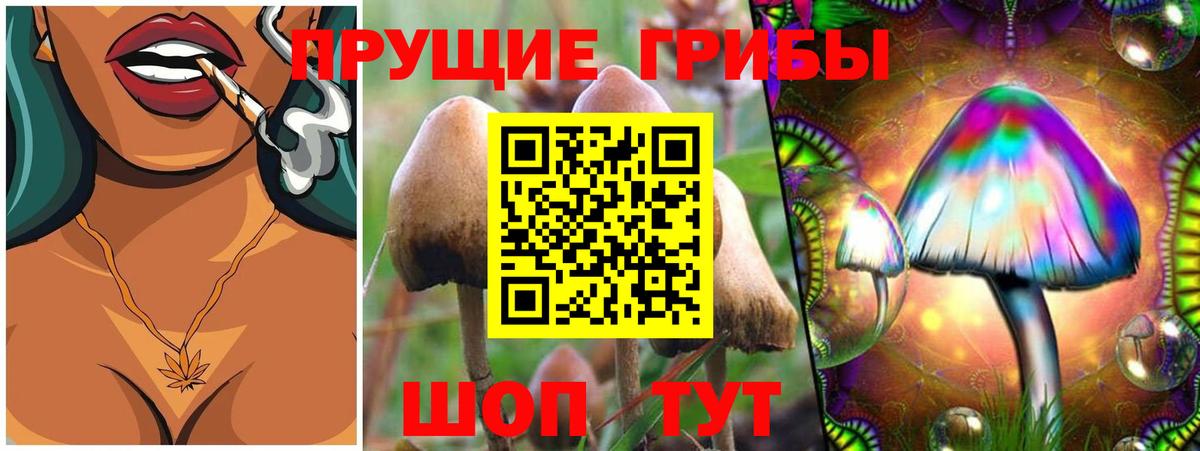 Псилоцибиновые грибы GOLDEN TEACHER  Псилоцибиновые грибы GOLDEN TEACHER  Вход с VPN  Кунгур 